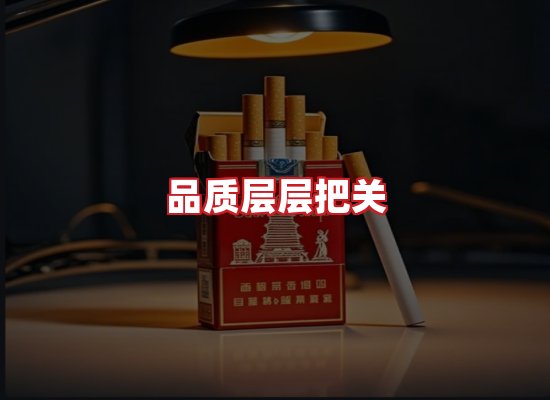 专业团队